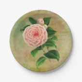 ヴィンテージカメリアフランスの植物学 ペーパープレート (正面)