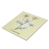 ヴィンテージカモミールハーブ植物芸術 タイル (側面)