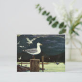 ヴィンテージカモメの止まった桟橋、海鳥の動物 (スタンド正面)