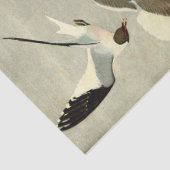 ヴィンテージカモメ海鳥ビーチの分離 薄葉紙 (詳細)