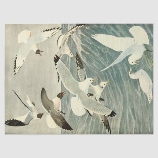 ヴィンテージカモメ海鳥ビーチの分離 薄葉紙 (正面)