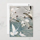 ヴィンテージカモメ海鳥ビーチサマーシーサイド ポストカード (正面/裏面)