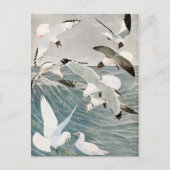 ヴィンテージカモメ海鳥ビーチサマーシーサイド ポストカード (正面)