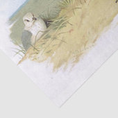 ヴィンテージカモメ鳥ビーチ草海海辺 薄葉紙 (詳細)