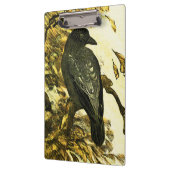 ヴィンテージカラスは枝テオ・ヴァン・ホイテマに止まった クリップボード (左)