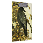 ヴィンテージカラスは枝テオ・ヴァン・ホイテマに止まった クリップボード (右)