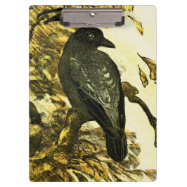 ヴィンテージカラスは枝テオ・ヴァン・ホイテマに止まった クリップボード