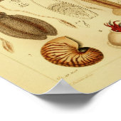 ヴィンテージカラタコいかアートプリント ポスター (角)