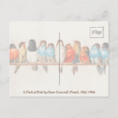 ヴィンテージカラフルの水色自然野生生物 ポストカード (裏面)