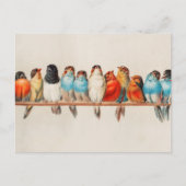 ヴィンテージカラフルの水色自然野生生物 ポストカード (正面)