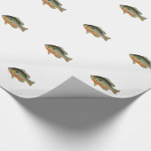 ヴィンテージカラフルサンフィッシュイラストレーション ラッピングペーパー (角)