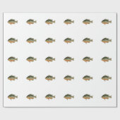 ヴィンテージカラフルサンフィッシュイラストレーション ラッピングペーパー (フラット)