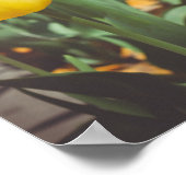 ヴィンテージカラフルスタイル春チューリップ ポスター (角)