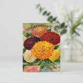 ヴィンテージカラフルダリアフラワーズ ポストカード (スタンド正面)