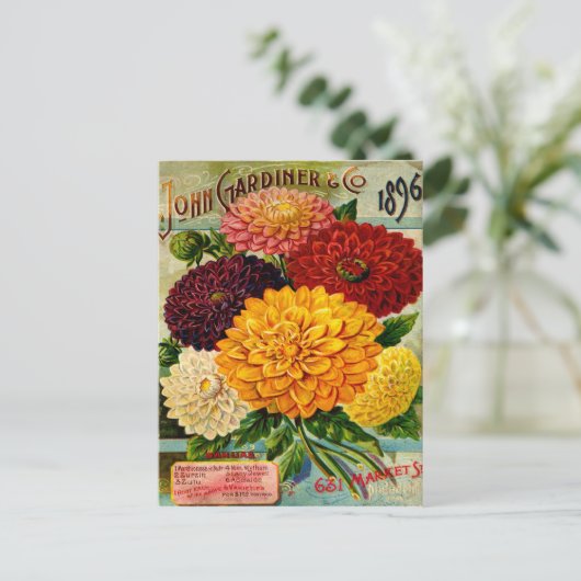 ヴィンテージカラフルダリアフラワーズ ポストカード (スタンド正面)