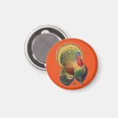 ヴィンテージカラフルトルコ マグネット (正面/裏面)