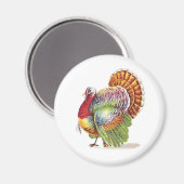 ヴィンテージカラフルトルコ マグネット (正面/裏面)