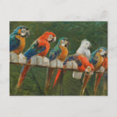 ヴィンテージカラフルパロット ポストカード (正面)