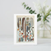 ヴィンテージカラフルフフランスのェザーイラストレーション ポストカード (スタンド正面)