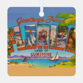 ヴィンテージカラフルフロリダの挨拶 メタルオーナメント (裏面)