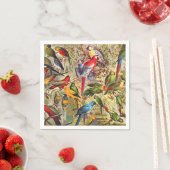 ヴィンテージカラフル熱帯鳥のオウム スタンダードカクテルナプキン (インサイチュ)