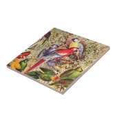 ヴィンテージカラフル熱帯鳥のオウム タイル (側面)