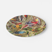 ヴィンテージカラフル熱帯鳥のオウム ペーパープレート (アングル)