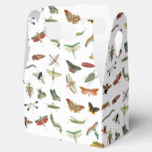 ヴィンテージカラフル虫生誕会テーマ フェイバーボックス (オープン)