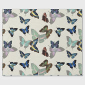 ヴィンテージカラフル蝶アンティークイラストレーション ラッピングペーパー (フラット)