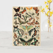 ヴィンテージカラフル蝶イラストレーションアート カード (黄色い花)