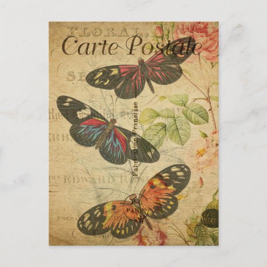 ヴィンテージカラフル蝶フローラフランスの花 ポストカード (正面)