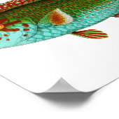 ヴィンテージカラフル魚 ポスター (角)