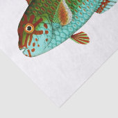 ヴィンテージカラフル魚 薄葉紙 (詳細)