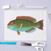 ヴィンテージカラフル魚 薄葉紙 (クラフト)