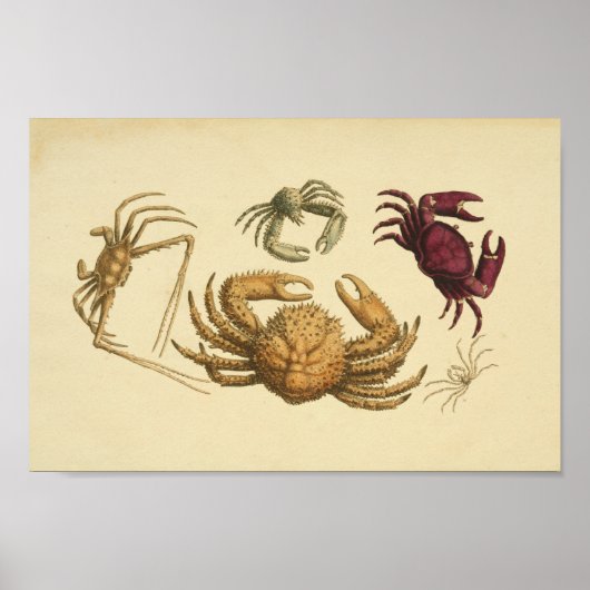 ヴィンテージカラーイラストレーションのクラブアートプリント ポスター (正面)