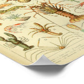 ヴィンテージカラーシーライフアートプリント ポスター (角)