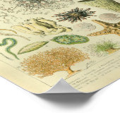 ヴィンテージカラージャゲシーライフアートプリント ポスター (角)