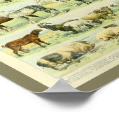 ヴィンテージカラーファームアニマルズプリント ポスター (角)