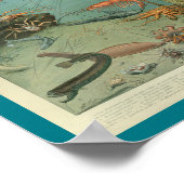 ヴィンテージカラー海洋生物シースケーププリント ポスター (角)