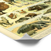 ヴィンテージカラー野生動物哺乳類プリント ポスター (角)