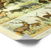 ヴィンテージカラー野生動物哺乳類プリント ポスター (角)