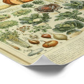 ヴィンテージカラー野菜アートプリント ポスター (角)