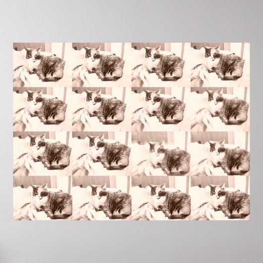 ヴィンテージカリコキャット ポスター (正面)