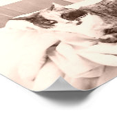 ヴィンテージカリコキャット ポスター (角)