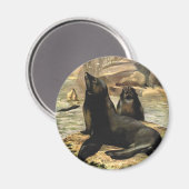 ヴィンテージカリフォルニアシーライオンズバイCE Swan マグネット (正面/裏面)