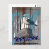 ヴィンテージカリフォルニアビーチシーガルトラベル ポストカード (正面/裏面)