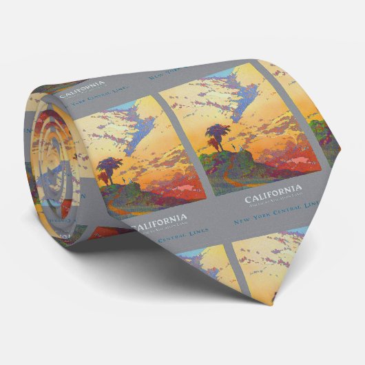 ヴィンテージカリフォルニア統一された州トラベルネックタイ ネクタイ (ロール)
