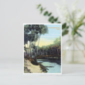 ヴィンテージカロサハッチェ川フロリダ ポストカード (スタンド正面)