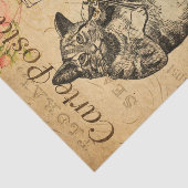 ヴィンテージカワイ遊トキャットバイオリン 薄葉紙 (詳細)