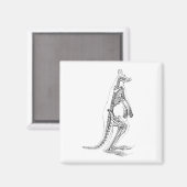 ヴィンテージカンガルースケルトンイラストレーション- 1800s マグネット (正面/裏面)